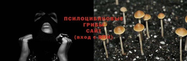 марки lsd Лагань