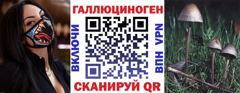 Галлюциногенные грибы прущие грибы  Чаплыгин 